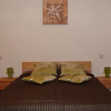 Apartment Vip